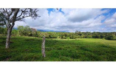 VENDO FINCA DE 195 HECTAREAS EN COORDILLERA CON AGUA VIVA