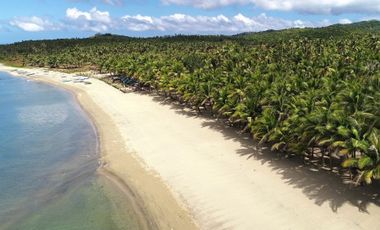 Two Hectare Beachfront in Agpudlos, Tablas Island, Romblon