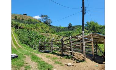 SE VENDE FINCA VIA  ALTAGRACIA VISTA QUE ENAMORA