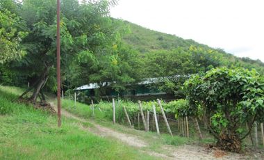 finca en venta en vereda la despensa. Cod V107227