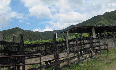 finca en venta en vereda la despensa. Cod V107227