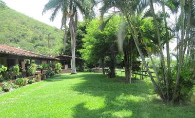 finca en venta en vereda la despensa. Cod V107227