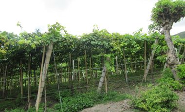 finca en venta en vereda la despensa. Cod V107227