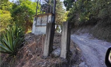 VENDO 6 HECTAREAS DE CAFE EN TIERRAS ALTAS