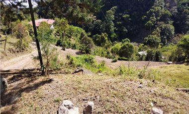 VENDO 6 HECTAREAS DE CAFE EN TIERRAS ALTAS