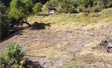 VENDO 6 HECTAREAS DE CAFE EN TIERRAS ALTAS