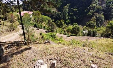 VENDO 6 HECTAREAS DE CAFE EN TIERRAS ALTAS