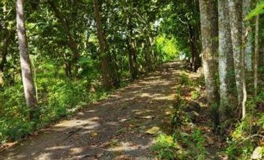 rumah minimalis 200jutaan dekat kota wates