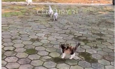 Disewakan Tanah Strategis Di Jalan Raya Hankam Bekasi Kota