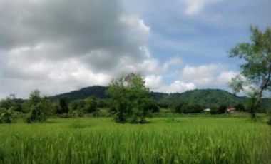 Agricultural Lot for Sale in Balaoan, La