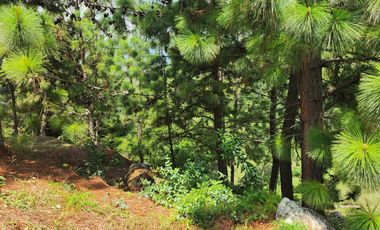 lote en venta en dapa. Cod V108018