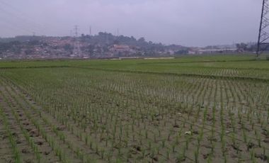 sawah dijual dekat kota baru parahyangan bandung