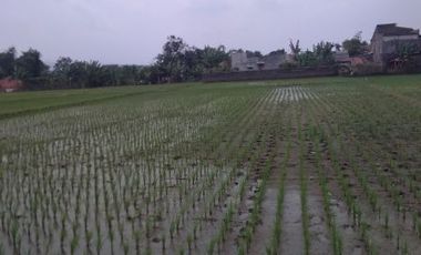 sawah dijual dekat kota baru parahyangan bandung