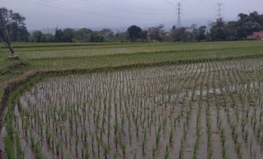 sawah dijual dekat kota baru parahyangan bandung