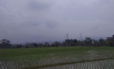 sawah dijual dekat kota baru parahyangan bandung