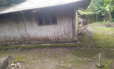 Tanah Kebun Jati di Desa Cikalahang Dijual Murah