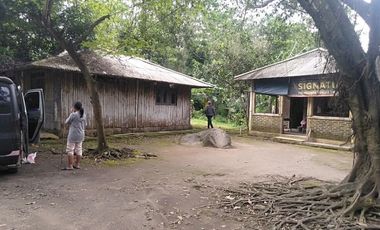 Tanah Kebun Jati di Desa Cikalahang Dijual Murah