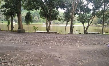 Tanah Kebun Jati di Desa Cikalahang Dijual Murah