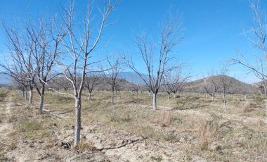 TERRENO EN VENTA EN PARRAS DE LA FUENTE, COAHUILA