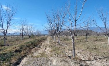 TERRENO EN VENTA EN PARRAS DE LA FUENTE, COAHUILA