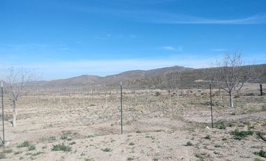 TERRENO EN VENTA EN PARRAS DE LA FUENTE, COAHUILA