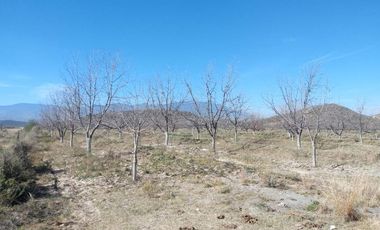 TERRENO EN VENTA EN PARRAS DE LA FUENTE, COAHUILA