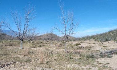 TERRENO EN VENTA EN PARRAS DE LA FUENTE, COAHUILA
