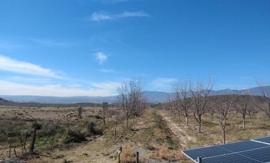 TERRENO EN VENTA EN PARRAS DE LA FUENTE, COAHUILA