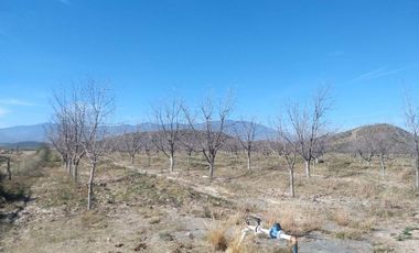 TERRENO EN VENTA EN PARRAS DE LA FUENTE, COAHUILA