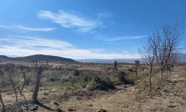 TERRENO EN VENTA EN PARRAS DE LA FUENTE, COAHUILA