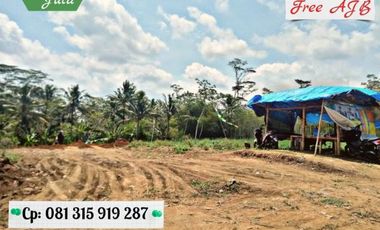 Dijual Tanah Kavling Lokasi di Kepanjen Malang