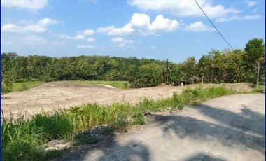 Promo 800Rb-an/m: Tanah Murah Kulonprogo View Sawah