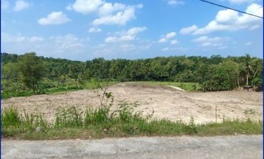 Promo 800Rb-an/m: Tanah Murah Kulonprogo View Sawah