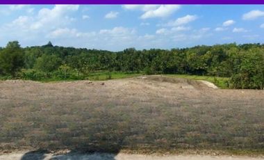 Promo 800Rb-an/m: Tanah Murah Kulonprogo View Sawah