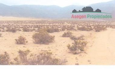 Sitio en Venta en Terreno de 50 hectáreas en sector Caleta Zenteno