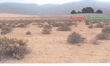 Sitio en Venta en Terreno de 50 hectáreas en sector Caleta Zenteno