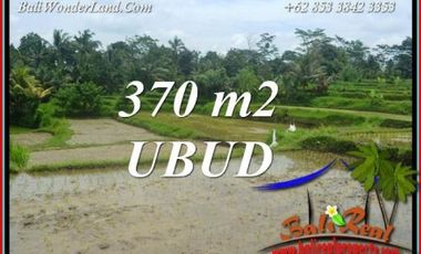 Dijual Tanah View Sawah 370 m2 di Ubud Pejeng