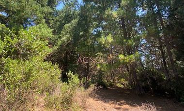 Sitio en Venta en Punta Norte