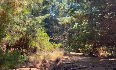 Sitio en Venta en Punta Norte