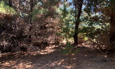 Sitio en Venta en Punta Norte