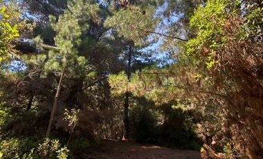 Sitio en Venta en Punta Norte