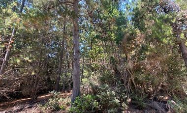 Sitio en Venta en Punta Norte