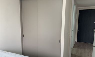 Depto arriendo 2D 2B E y Bod Santiago Metro Parque Almag J80