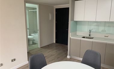Depto arriendo 2D 2B E y Bod Santiago Metro Parque Almag J80