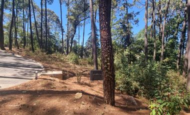 EXCELENTE TERRENO EN VENTA, AVANDARO