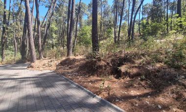 EXCELENTE TERRENO EN VENTA, AVANDARO