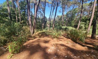 EXCELENTE TERRENO EN VENTA, AVANDARO