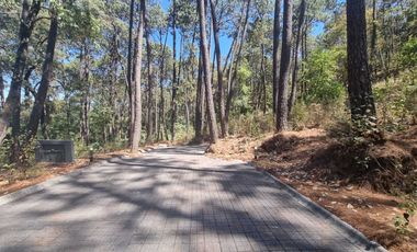 EXCELENTE TERRENO EN VENTA, AVANDARO