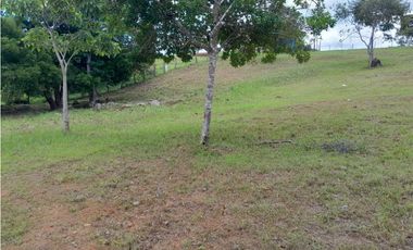 TERRENO A LA VENTA EN CAMINO A LA LAGUNA CHAME
