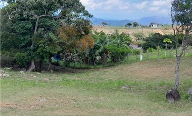 TERRENO A LA VENTA EN CAMINO A LA LAGUNA CHAME